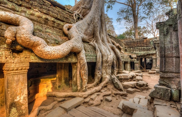 Siem Reap Angkor 1 Day Tour