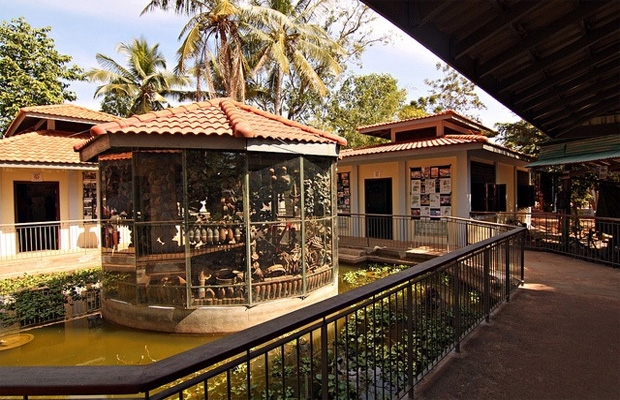 Siem Reap-Angkor Tour 3D2N