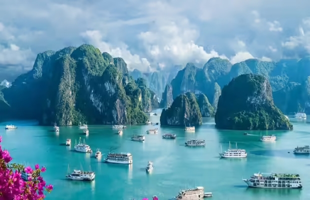 Vietnam Tours